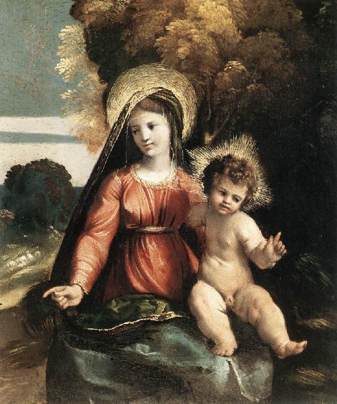DOSSI, Dosso Madonna and Child ddfhf Spain oil painting art